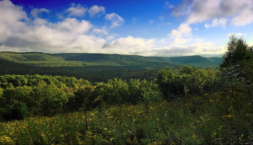 Schuylkill county mountain range.